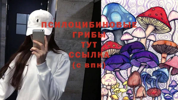 2c-b Аркадак